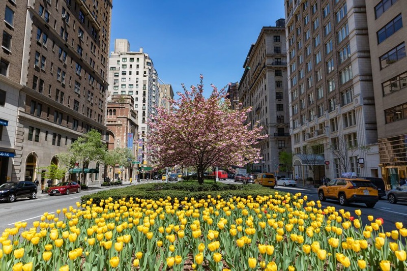 Upper East Side New York City’s Elegant and Historic Neighborhood